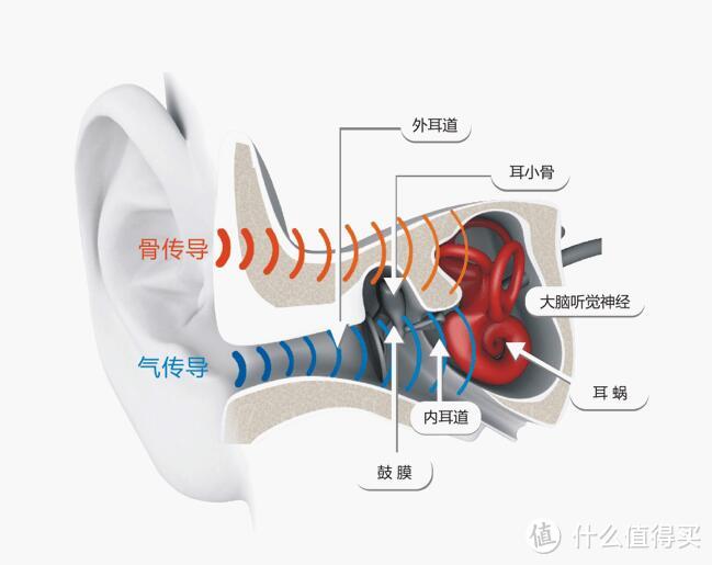 另类的AFTERSHOKZ AS600 TREKZ 钛骨传导耳机