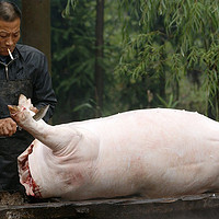 一个没有一次性通过审核的甲醛清除剂众测报告