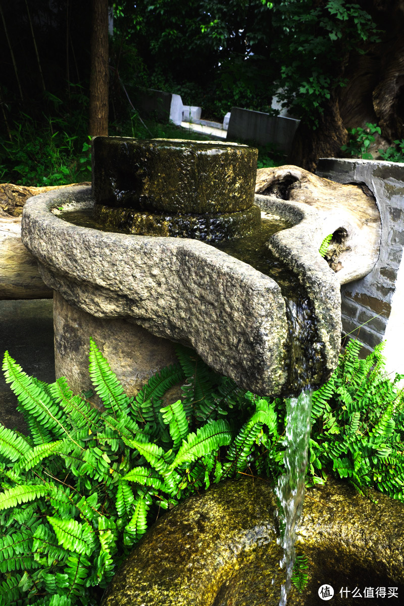 伪单身遛“狗”一日游：深圳坂田手造街