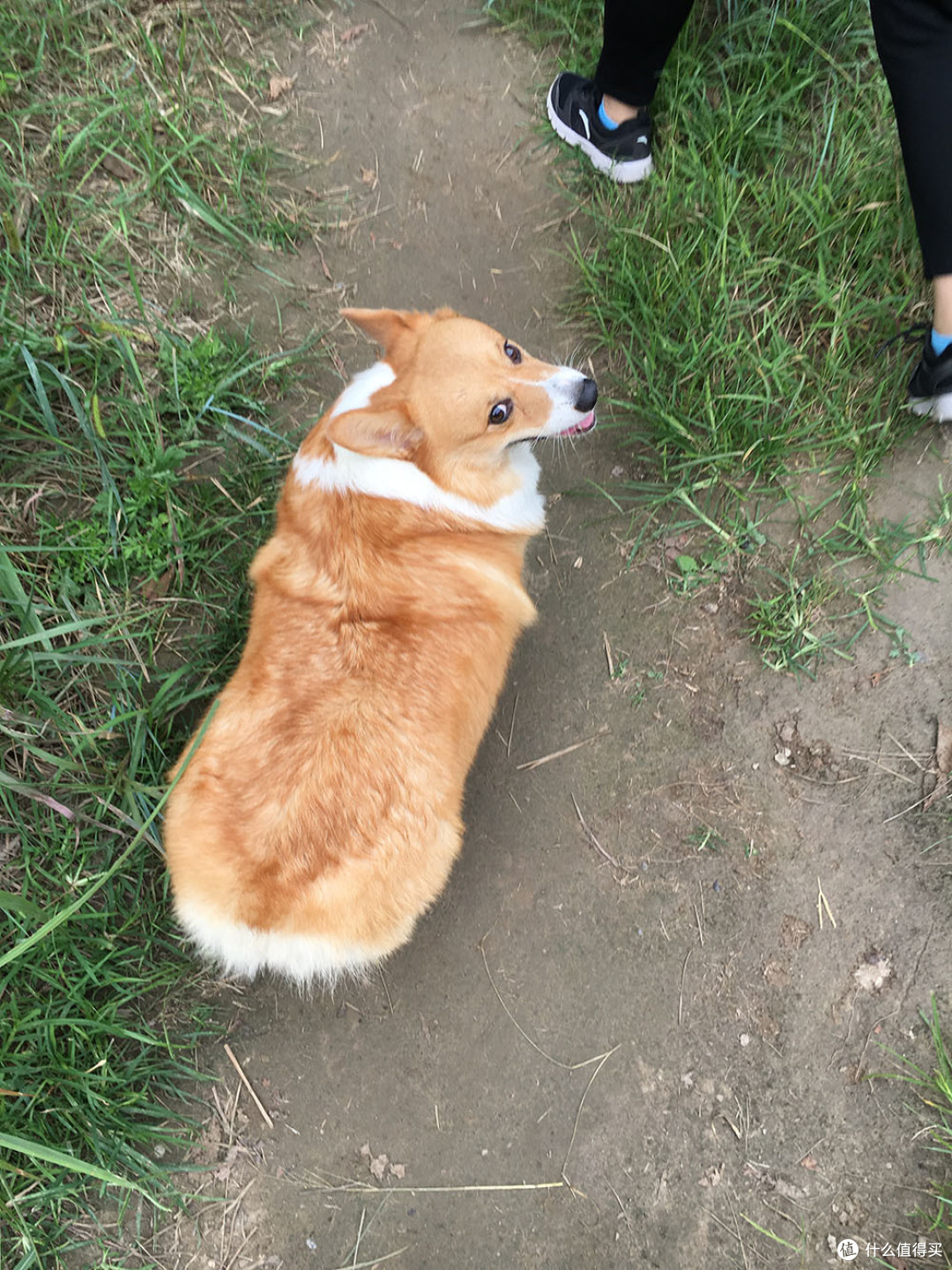 密云白云峡两天一夜行:一场体力与智慧的较量
