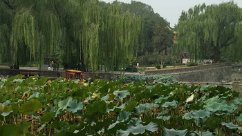 中秋小长假之亲子游玩北京+河南新乡探亲（火车+租车自驾） 篇二：第二、三、四天行程 