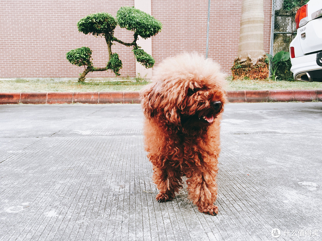 不求最好，但求合适 —— 松下 NP-TCM1WECN 台式洗碗机评测