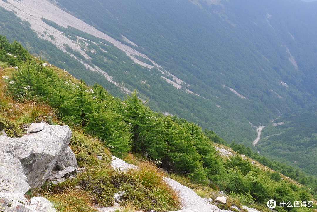 中国青藏高原以东最高山——太白山 二日游