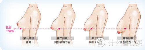 胸大=有沟？论男性对胸部的五大误解