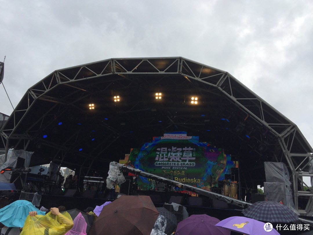稍有遗憾的圆满:2016上海混凝草音乐节