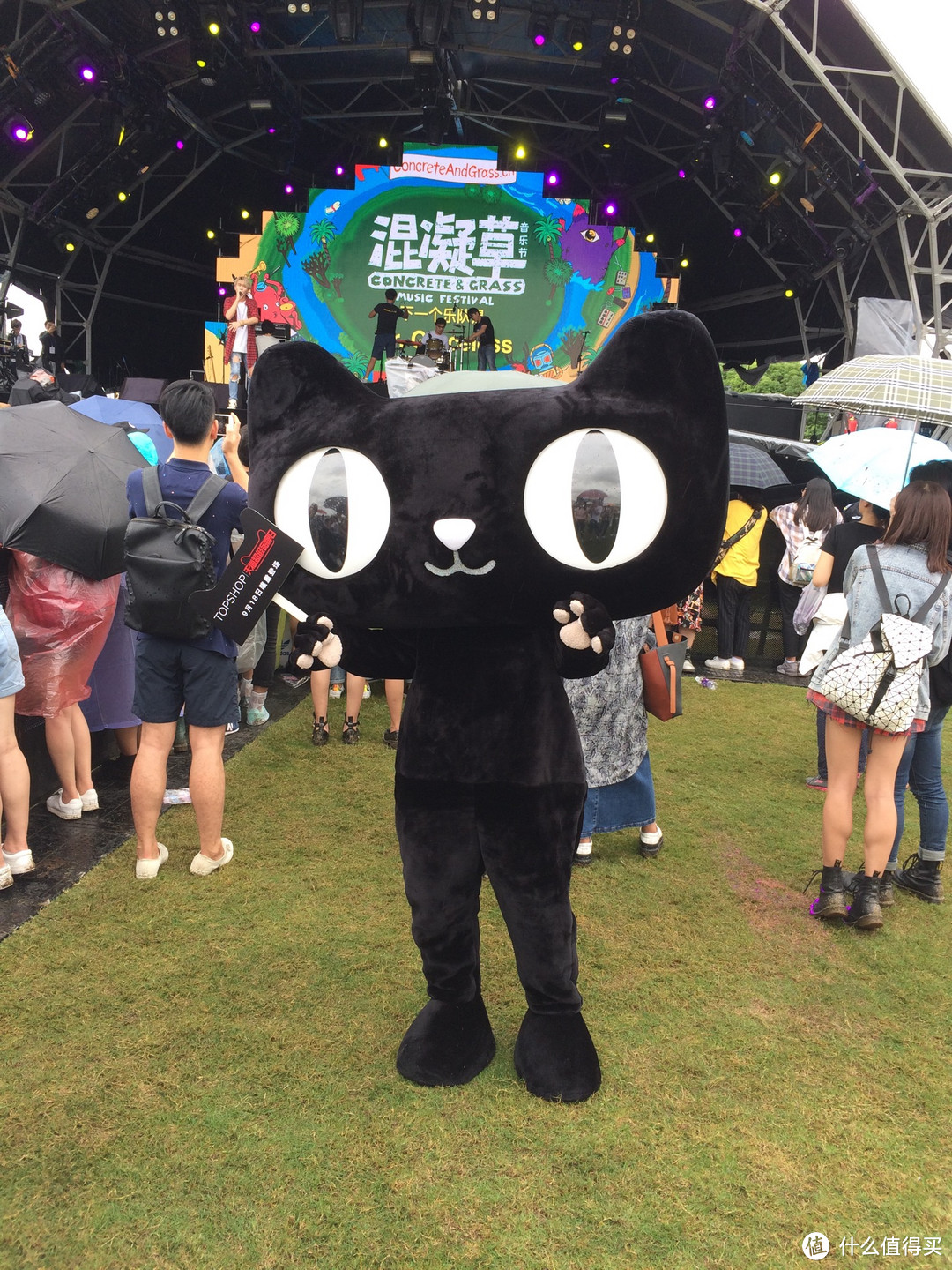 稍有遗憾的圆满:2016上海混凝草音乐节