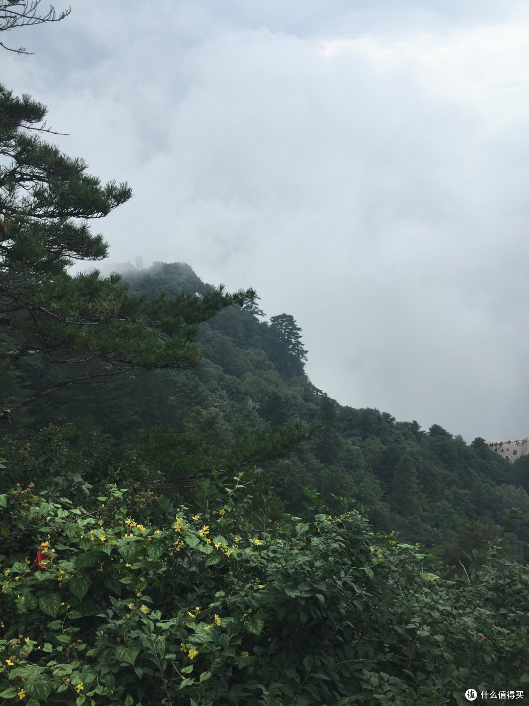看看我们的山河：我的华山游记流水账