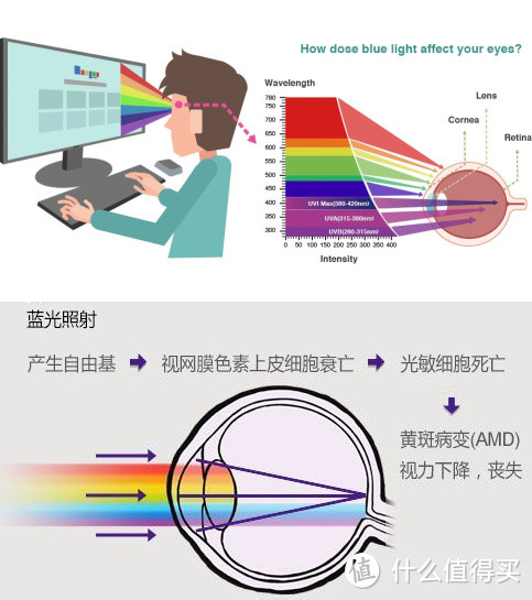 ThinkVision X1 联想专业广色域显示器：从不止于思考，真实保持本色