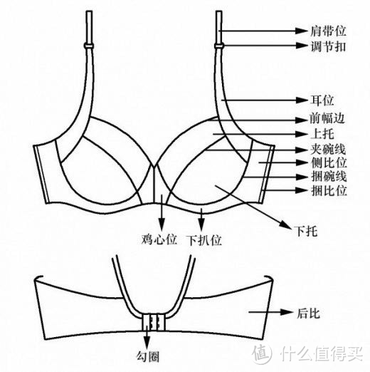 在国内如何买到合适的内衣