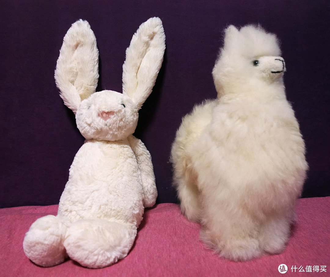 喜欢=值：1499金币换只兔~JellyCat 邦尼兔&我家动物们的故事