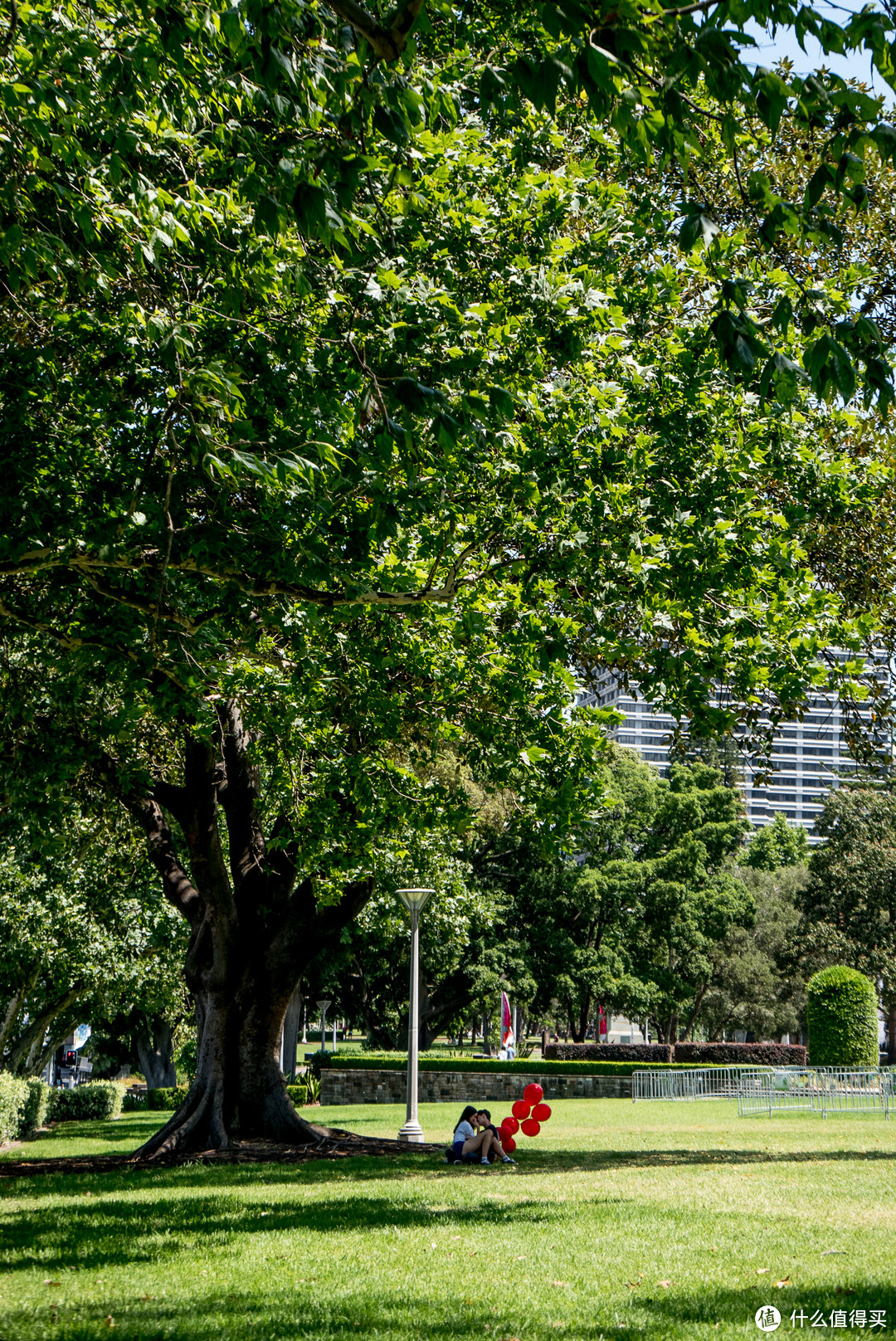红气球在海德公园的绿树中炫耀着这对爱侣的浪漫