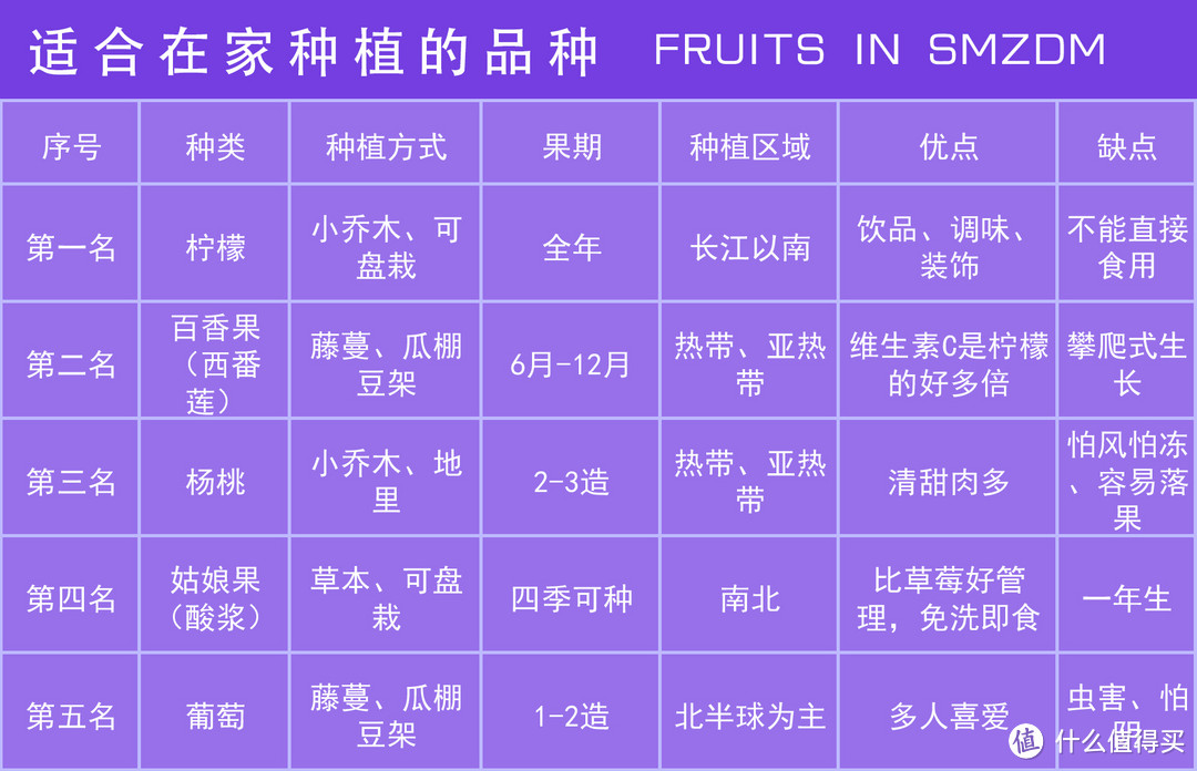 甜过初恋、酸过单身--自家种的水果