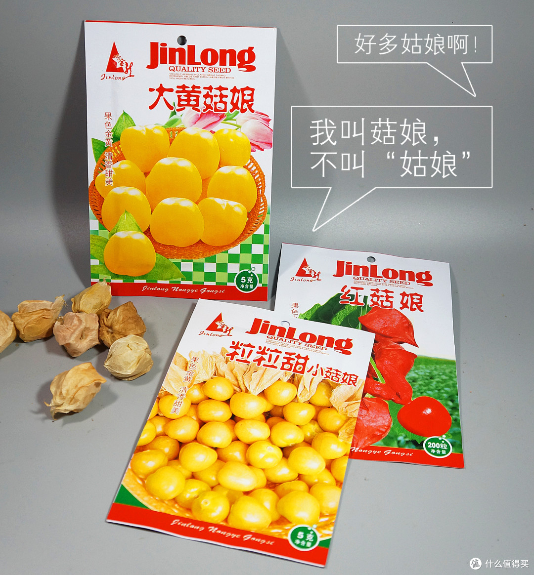 甜过初恋、酸过单身--自家种的水果