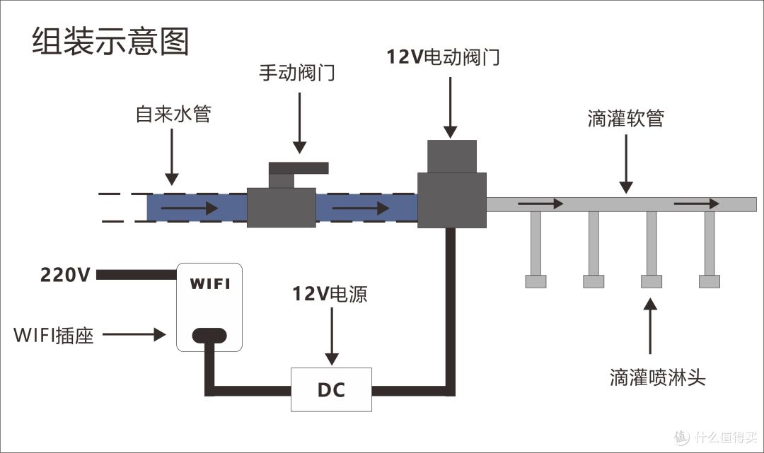 甜过初恋、酸过单身--自家种的水果