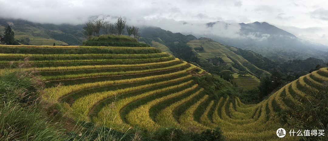 秋高龙脊正当时