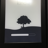 Kindle PaperWhite3 电子书阅读器开箱使用(感受|快递|推送|颜色|翻页键)