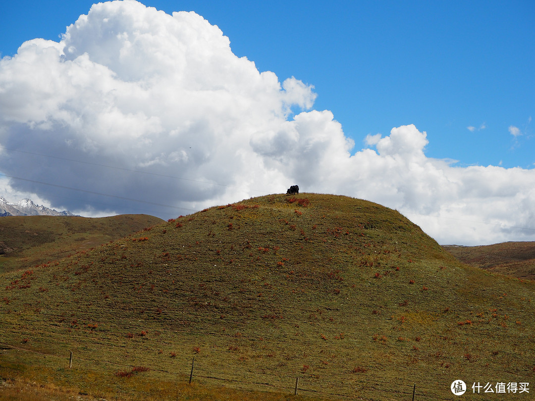 五天一千公里，体验川西高原的风景与藏族的风土人情