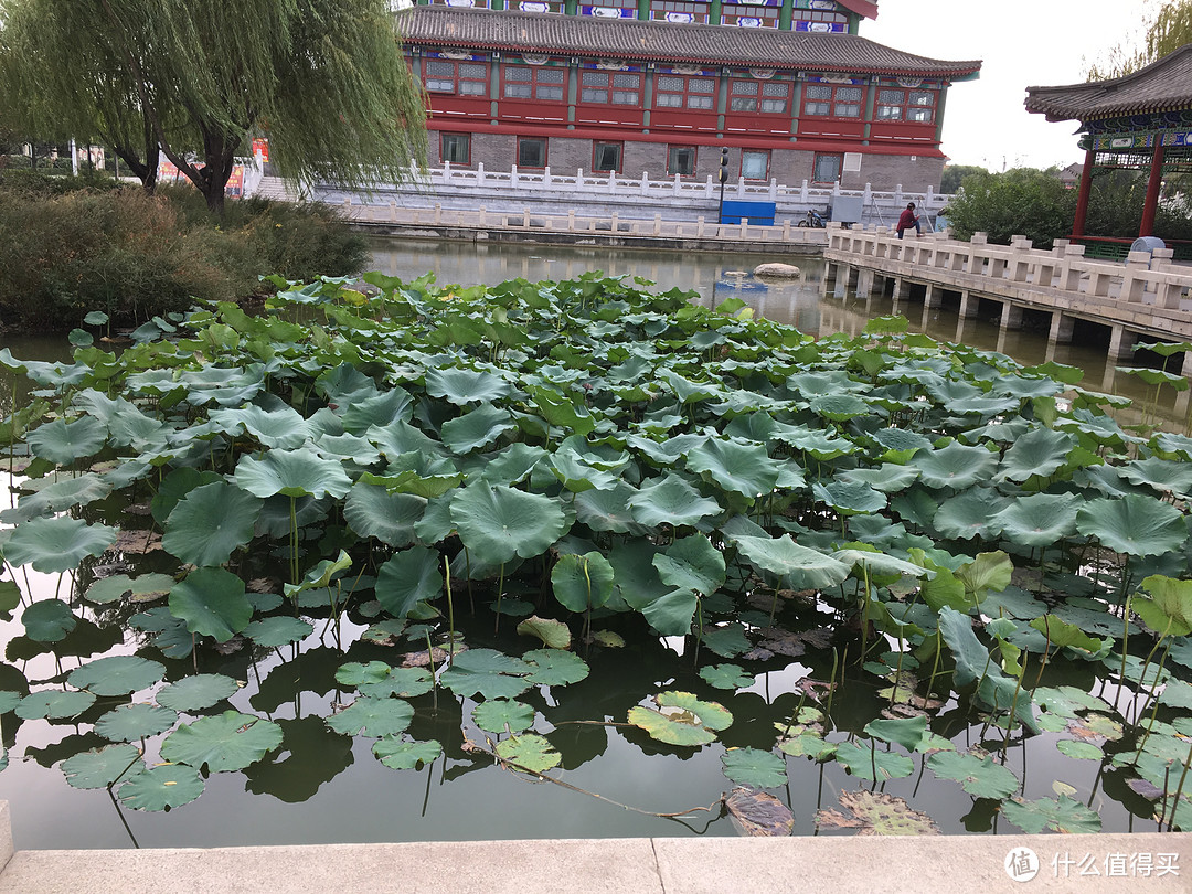 说走就走的小自驾（多图）——国庆去唐山