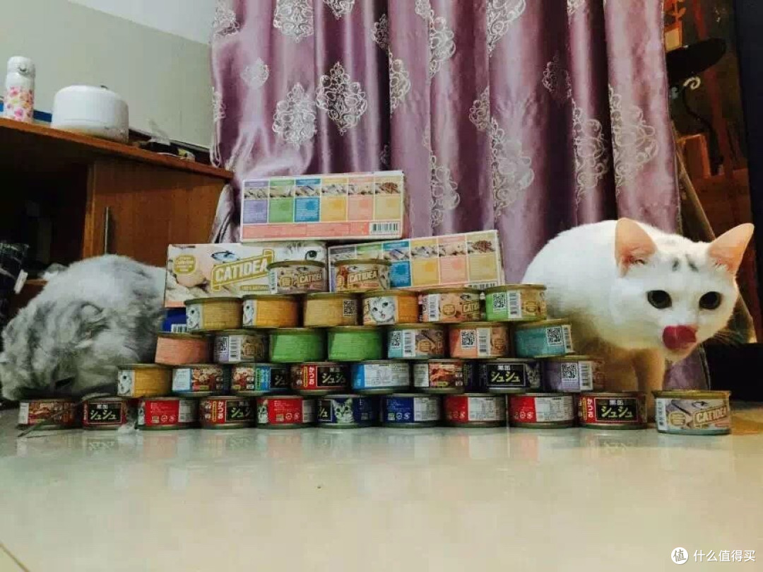 身为一个猫主子的生活