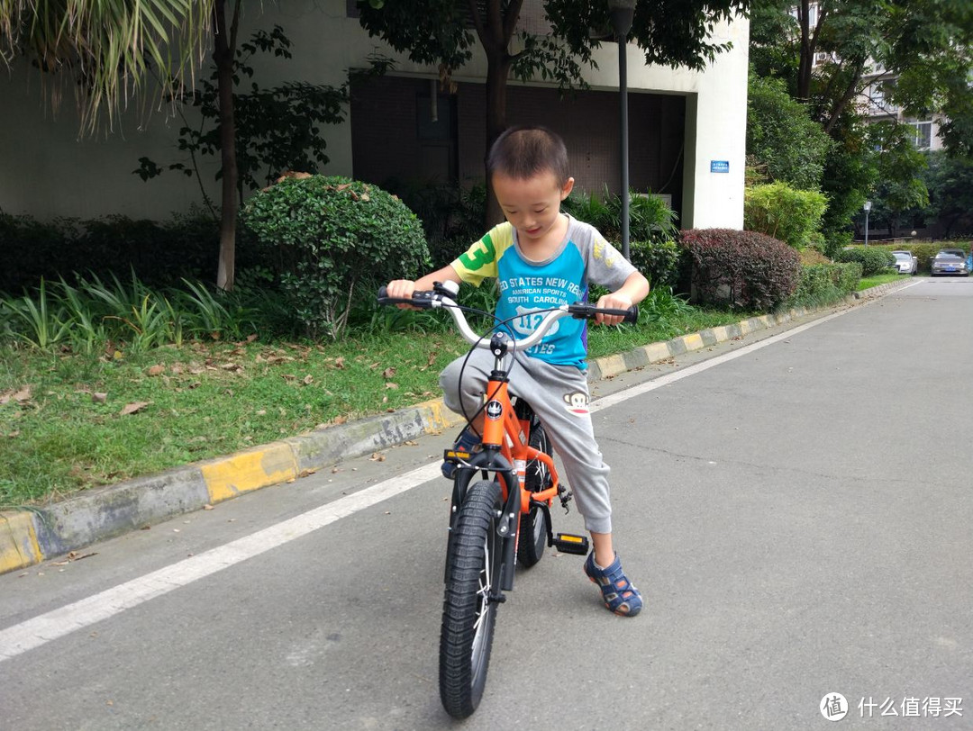 你骑我跑，横跨三十年，两代人的自行车情结