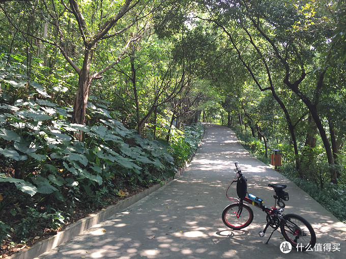 跳跃式旅行——大行 KBC083Y 折叠车 漫步广州