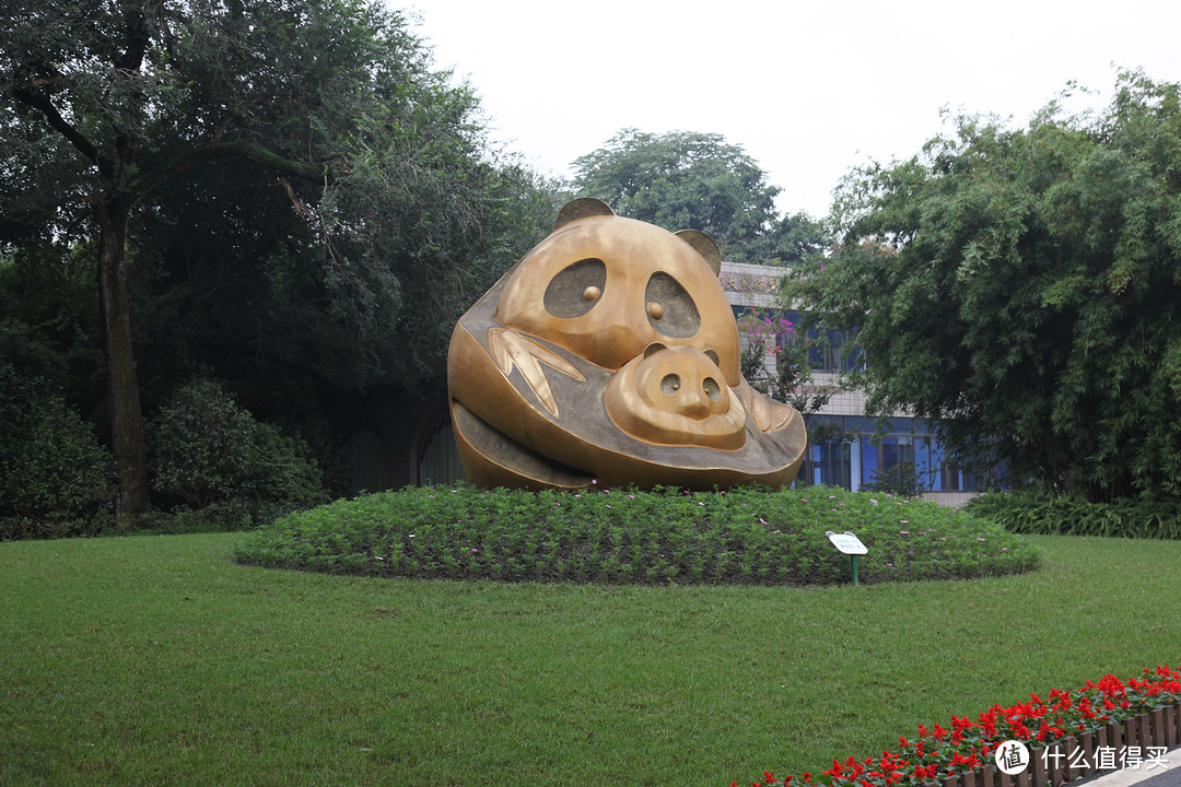 成都  Chengdu 闲逛：熊猫基地 青城山 都江堰