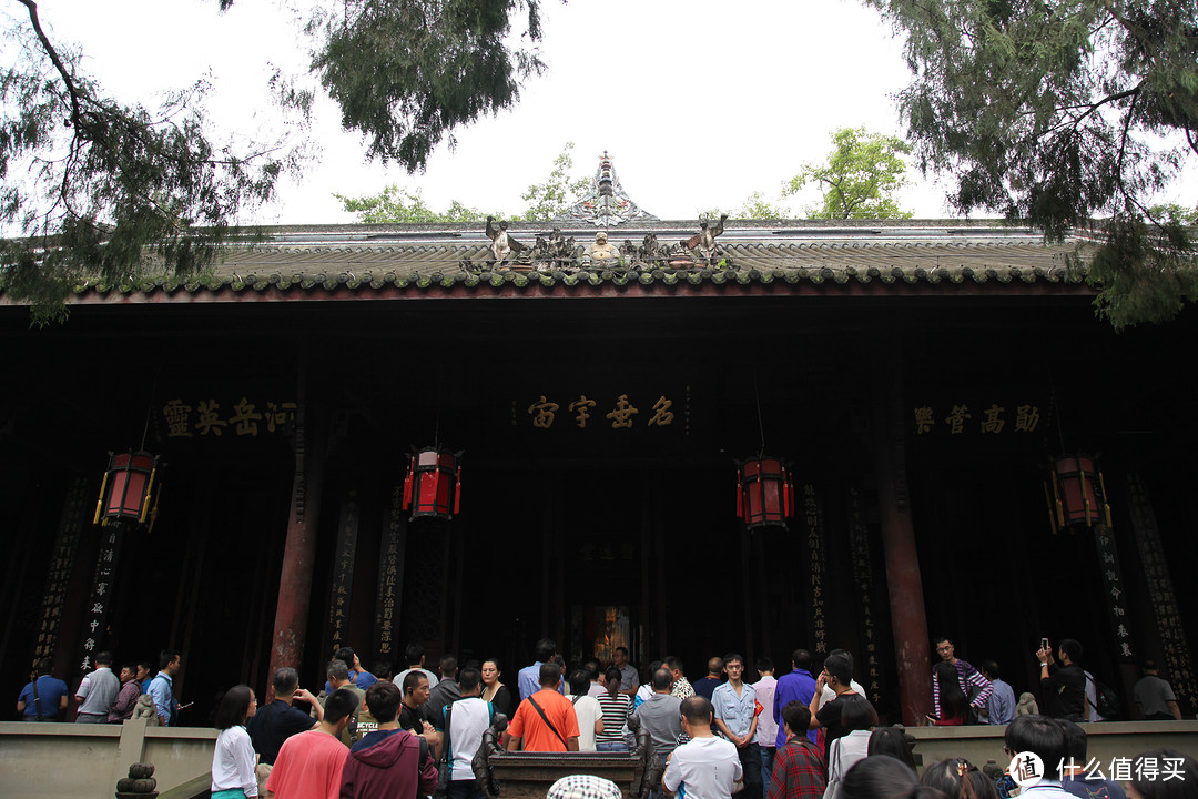 成都  Chengdu 闲逛：熊猫基地 青城山 都江堰