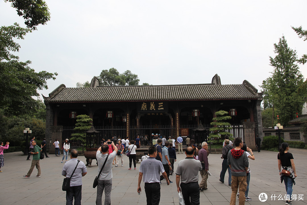 成都  Chengdu 闲逛：熊猫基地 青城山 都江堰