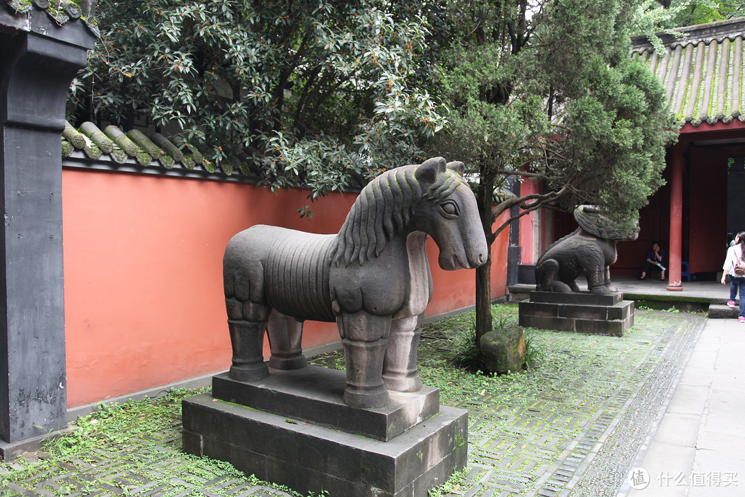 成都  Chengdu 闲逛：熊猫基地 青城山 都江堰