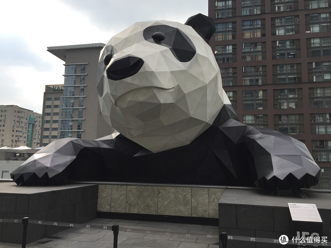 成都  Chengdu 闲逛：熊猫基地 青城山 都江堰