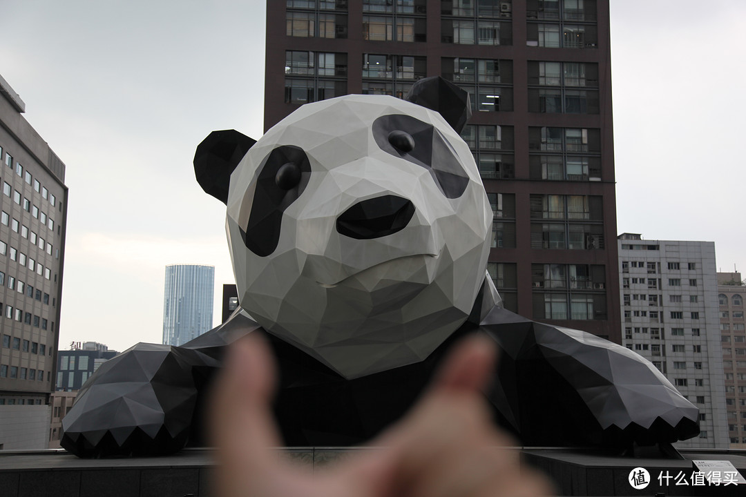 成都  Chengdu 闲逛：熊猫基地 青城山 都江堰