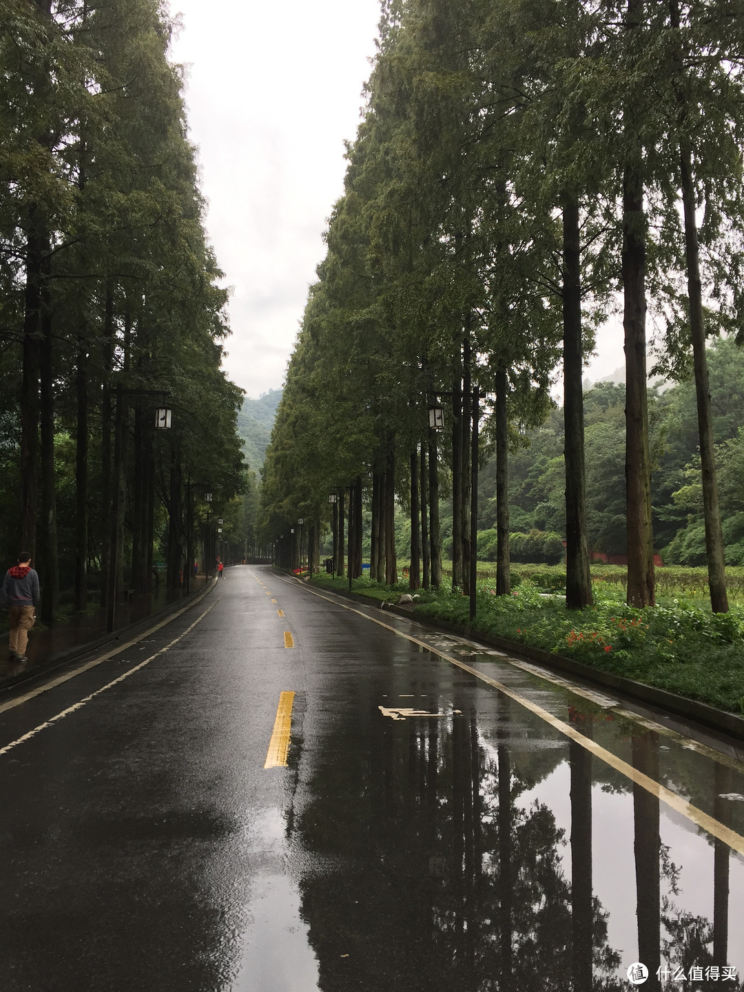 成都  Chengdu 闲逛：熊猫基地 青城山 都江堰