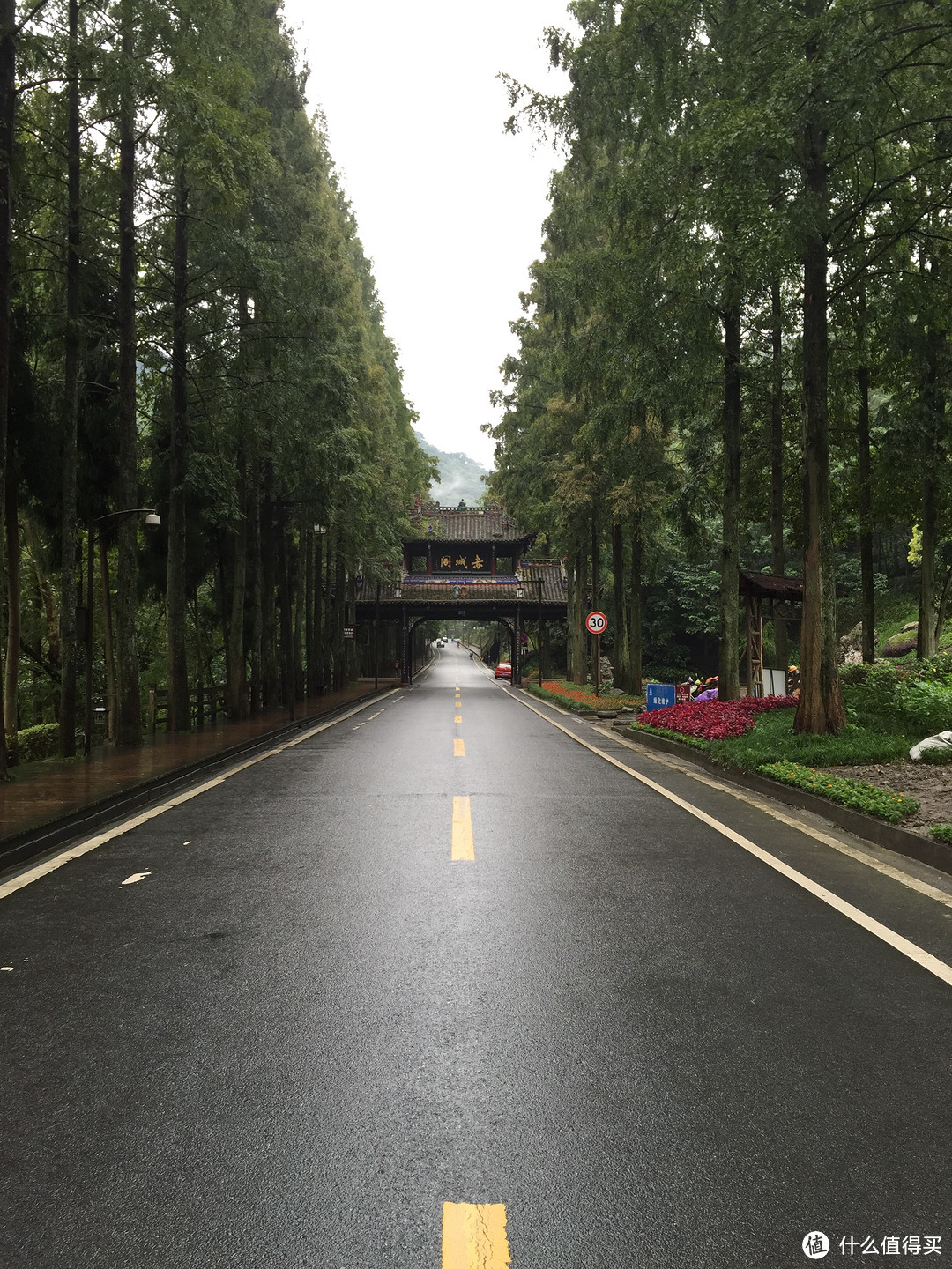 成都  Chengdu 闲逛：熊猫基地 青城山 都江堰