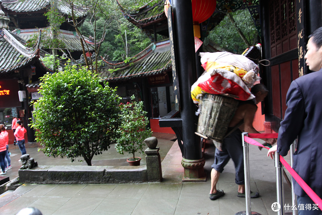 成都  Chengdu 闲逛：熊猫基地 青城山 都江堰