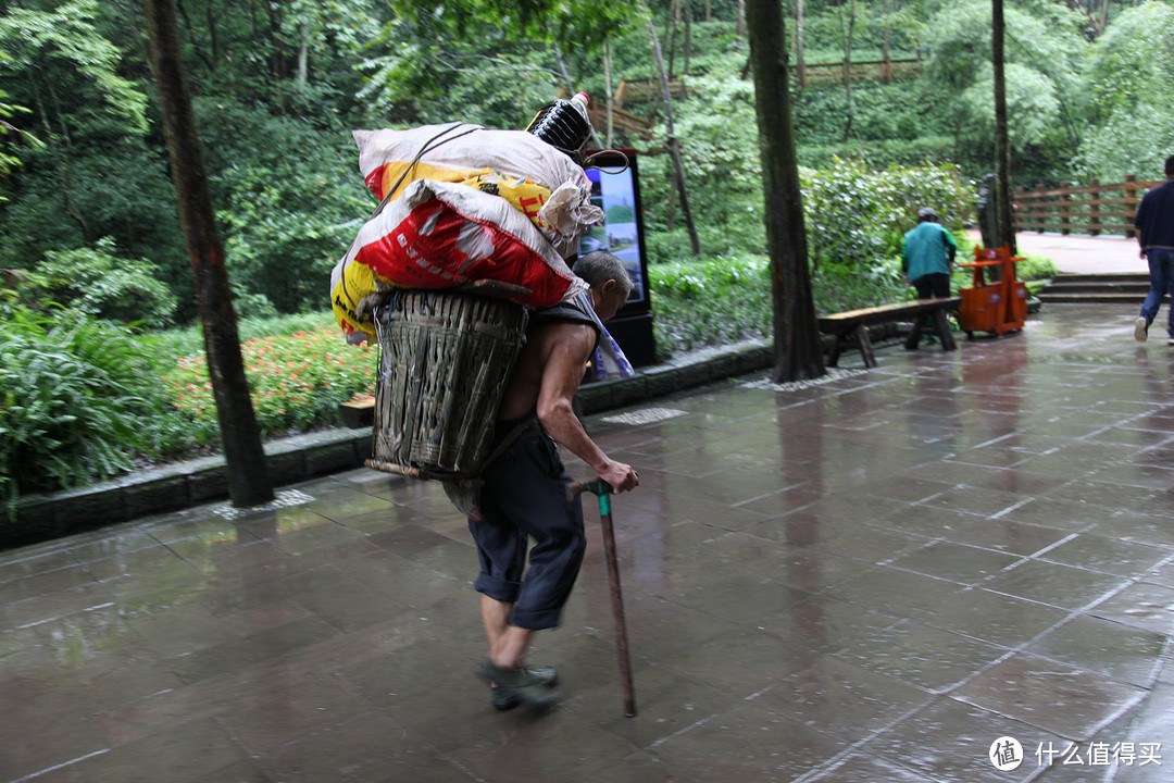 成都  Chengdu 闲逛：熊猫基地 青城山 都江堰