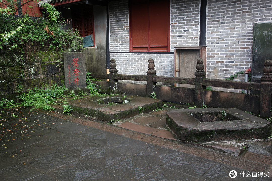 成都  Chengdu 闲逛：熊猫基地 青城山 都江堰