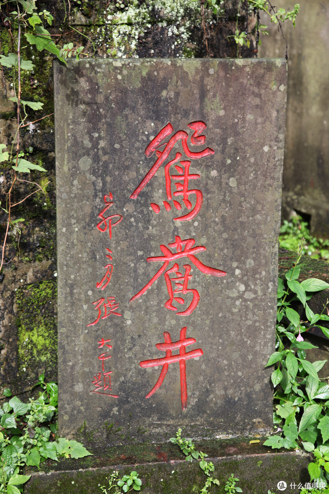 成都  Chengdu 闲逛：熊猫基地 青城山 都江堰