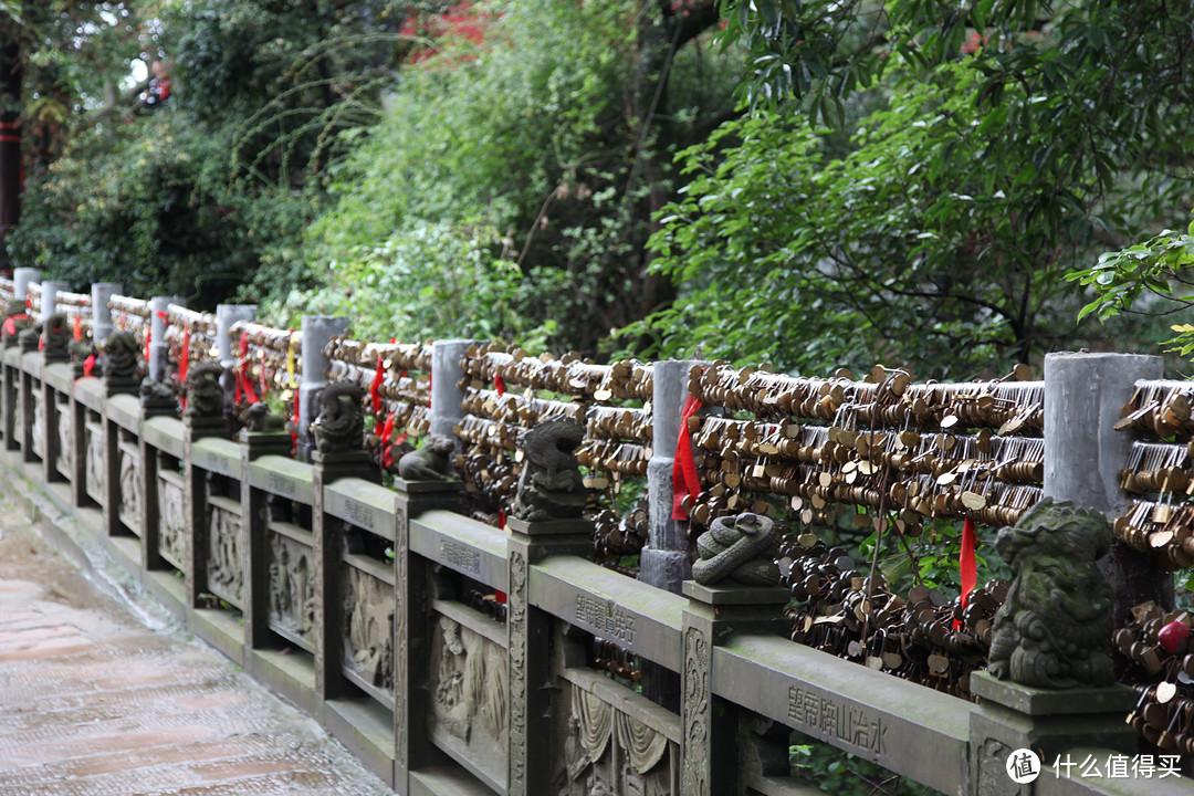 成都  Chengdu 闲逛：熊猫基地 青城山 都江堰