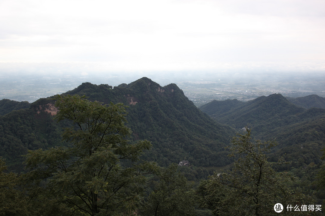 成都  Chengdu 闲逛：熊猫基地 青城山 都江堰