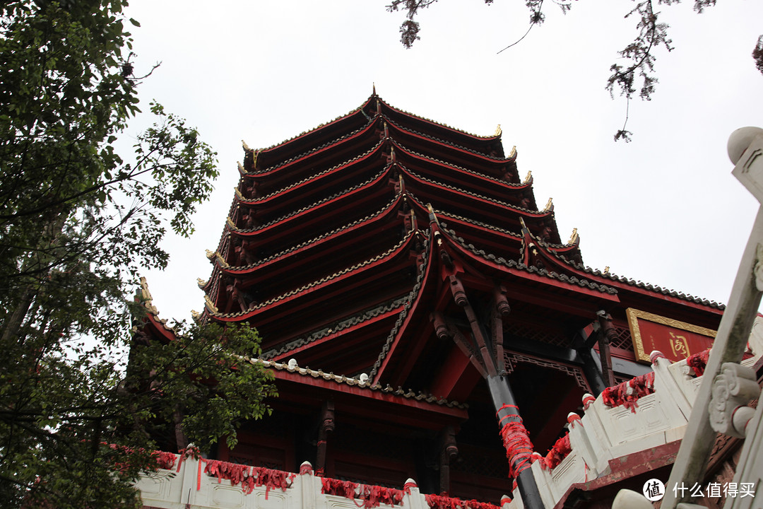 成都  Chengdu 闲逛：熊猫基地 青城山 都江堰