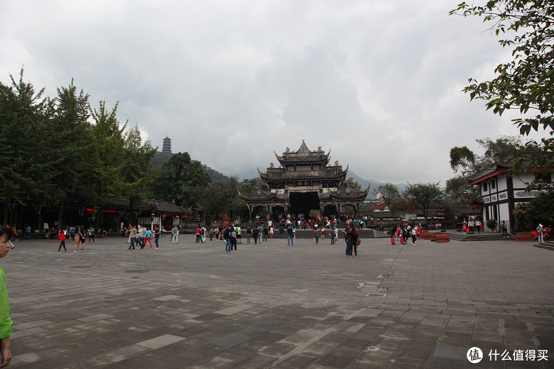 成都  Chengdu 闲逛：熊猫基地 青城山 都江堰