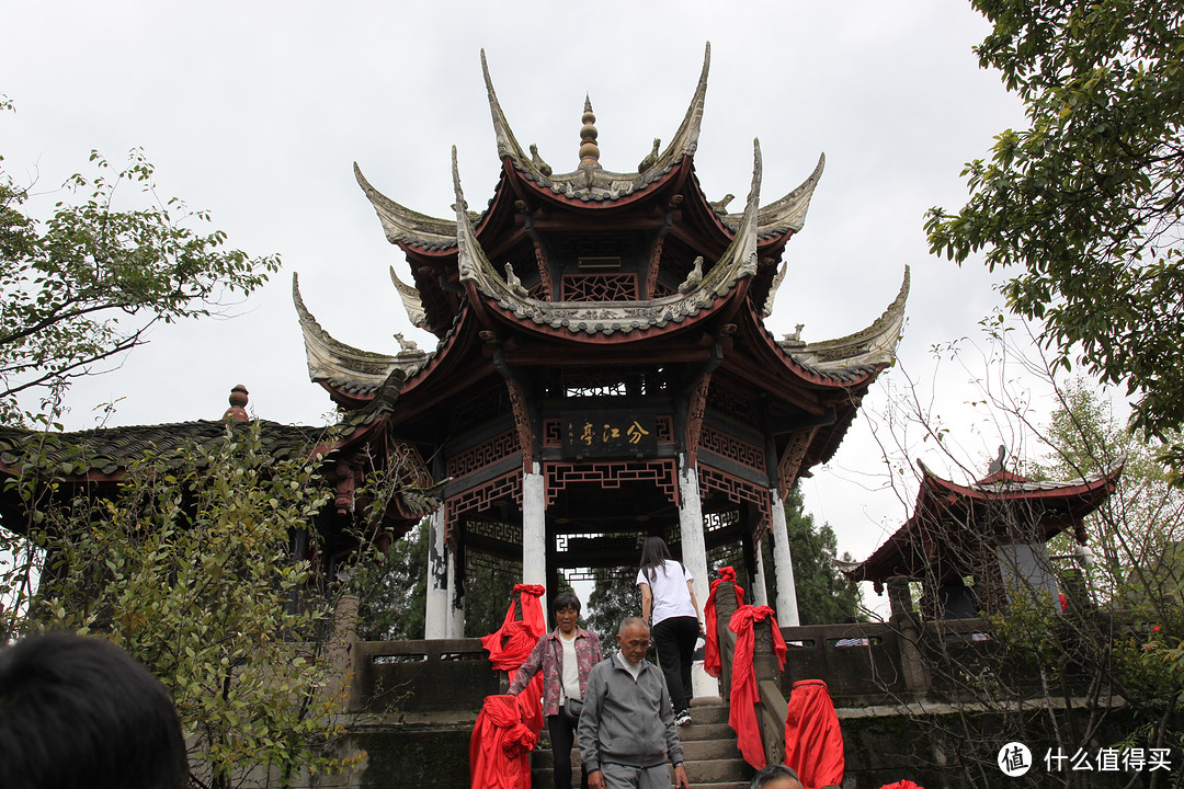 成都  Chengdu 闲逛：熊猫基地 青城山 都江堰