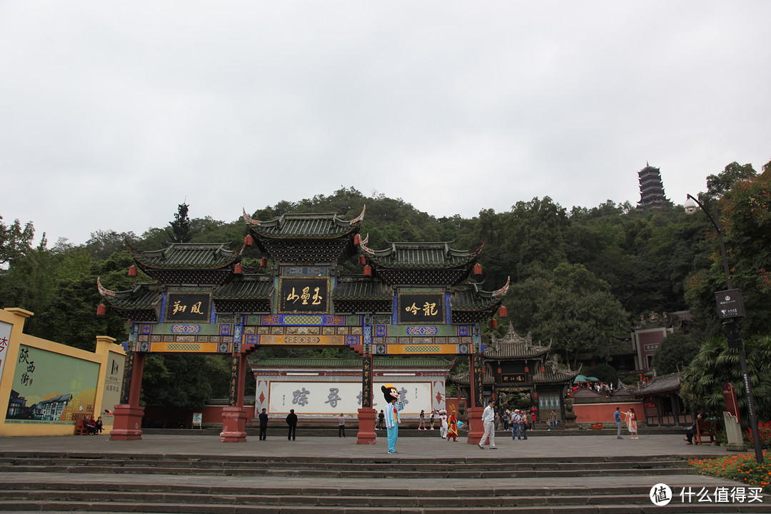 成都  Chengdu 闲逛：熊猫基地 青城山 都江堰