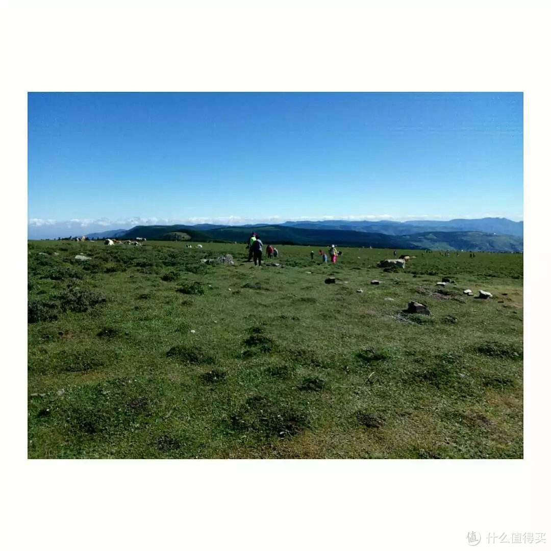 游遍山西 宁武篇：马仑草原，芦芽山，醉到心里去。