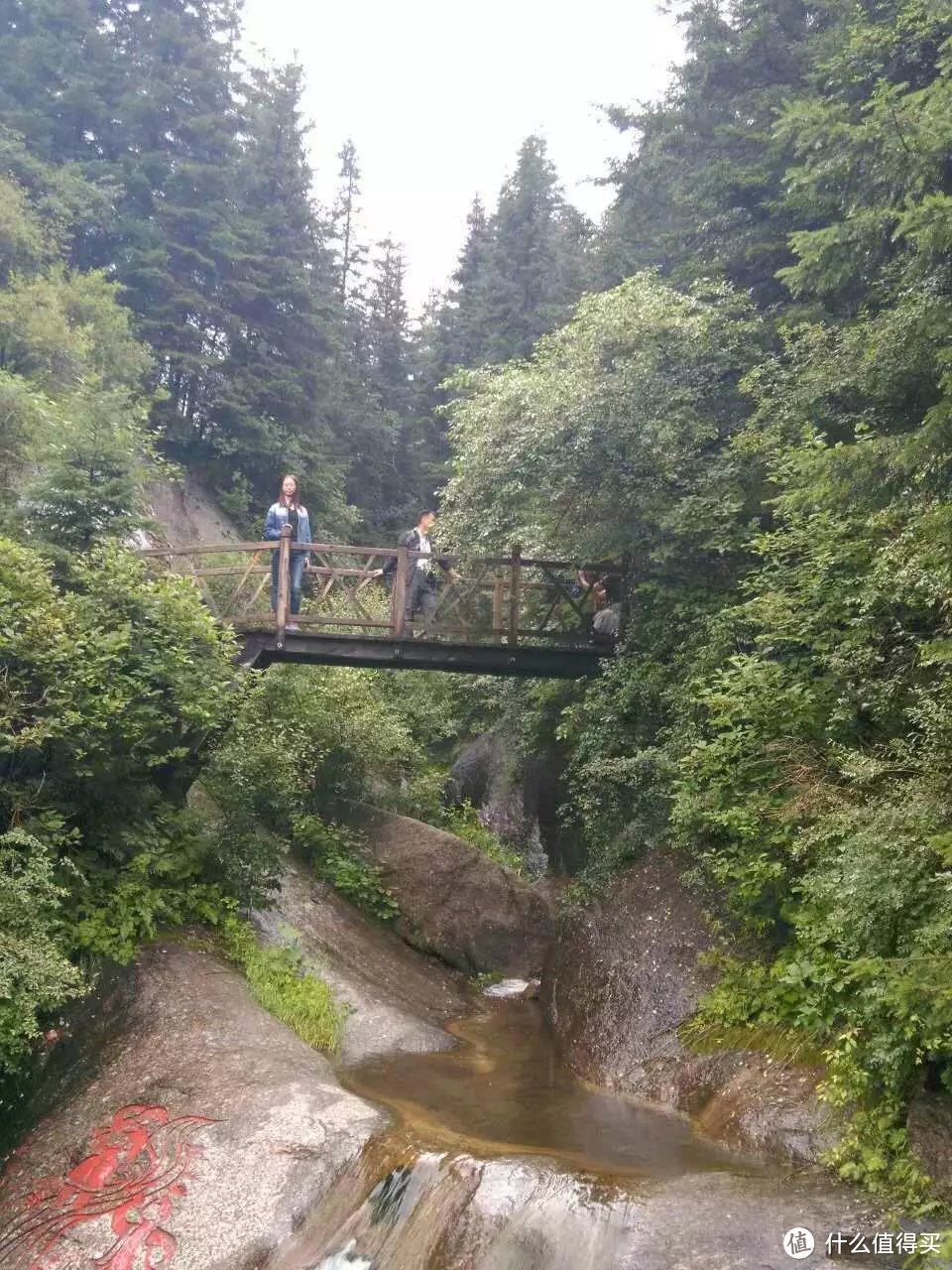 游遍山西 宁武篇：马仑草原，芦芽山，醉到心里去。