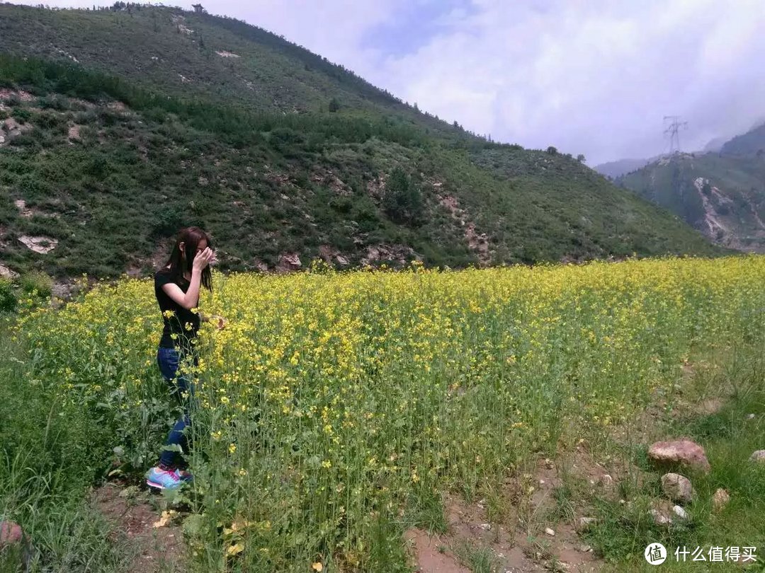 游遍山西 宁武篇：马仑草原，芦芽山，醉到心里去。