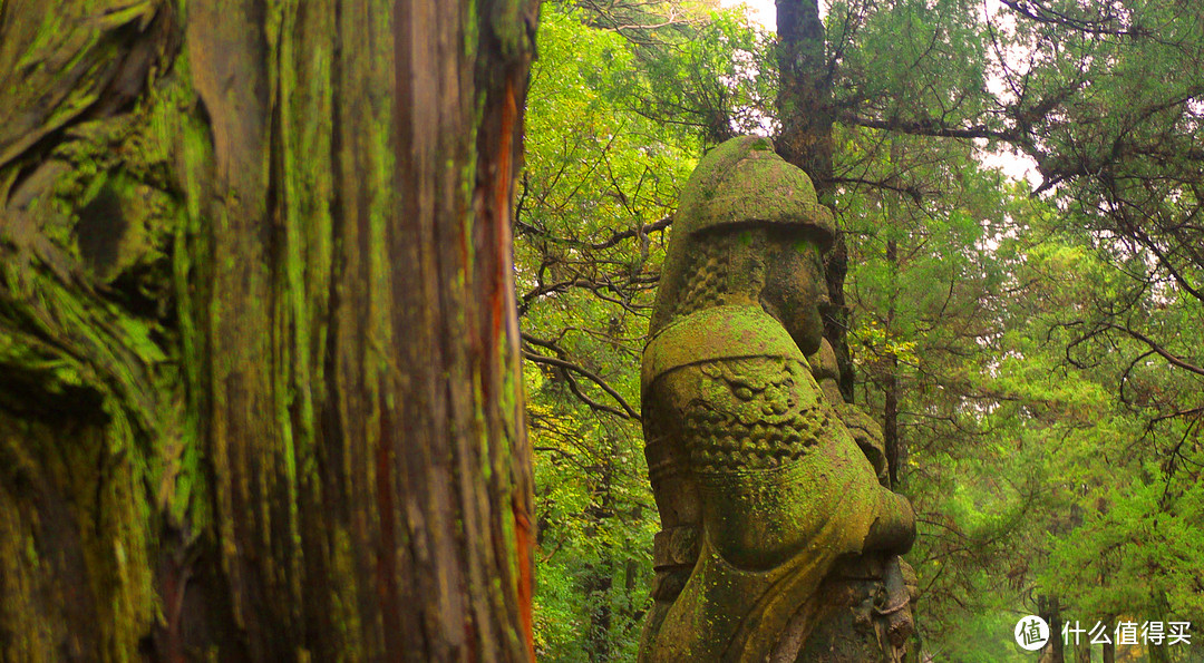 小旅行——人山人海金陵游