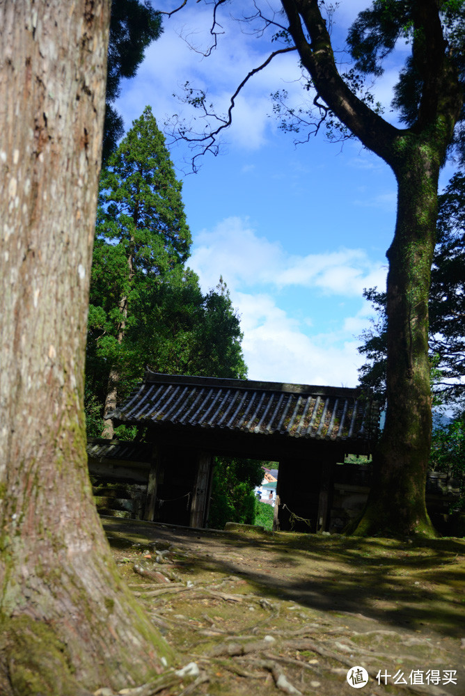 碧海蓝天，星海传奇——量子号6天5晚