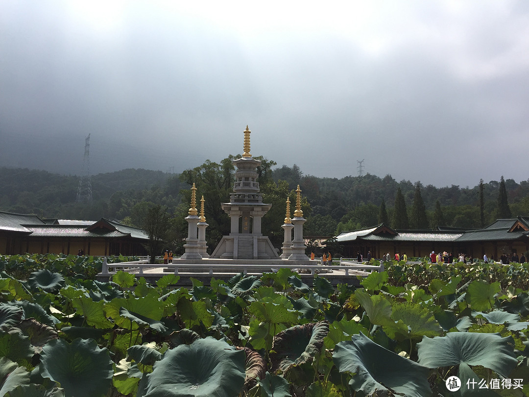 #拒绝人挤人# 山南水北好风光-庐山&三清山