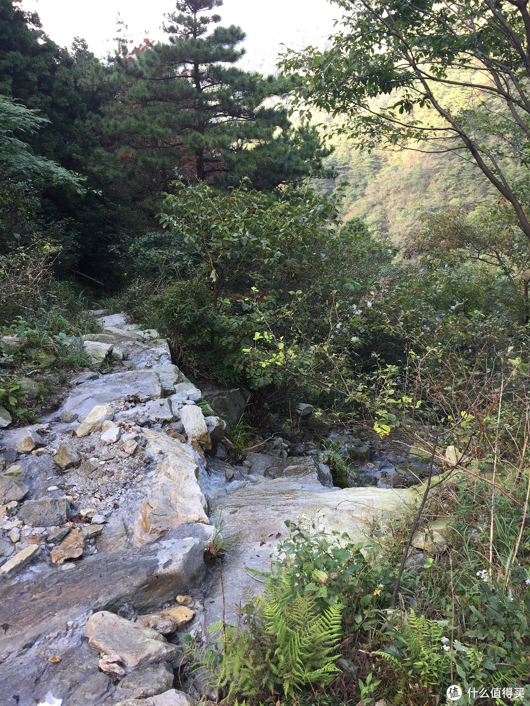 #拒绝人挤人# 山南水北好风光-庐山&三清山